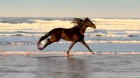 THIS VIDEO JUST MAKES ME CRY