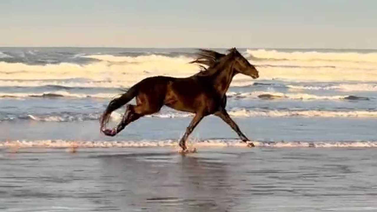 THIS VIDEO JUST MAKES ME CRY