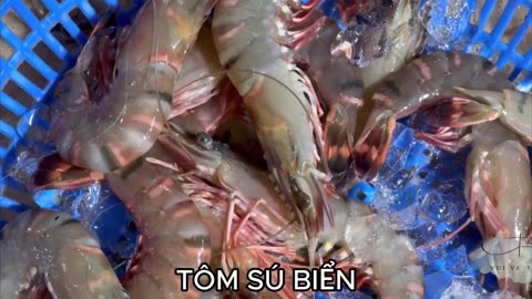 Phân biệt các loại tôm