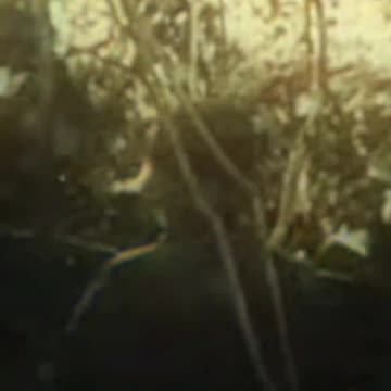 96 ⚔️ In gaming, if the enemy expects you, then surprise them from another angle