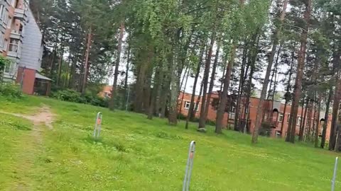 Continuing my Walk: Norfa, Iki & My Forest Home 🌳