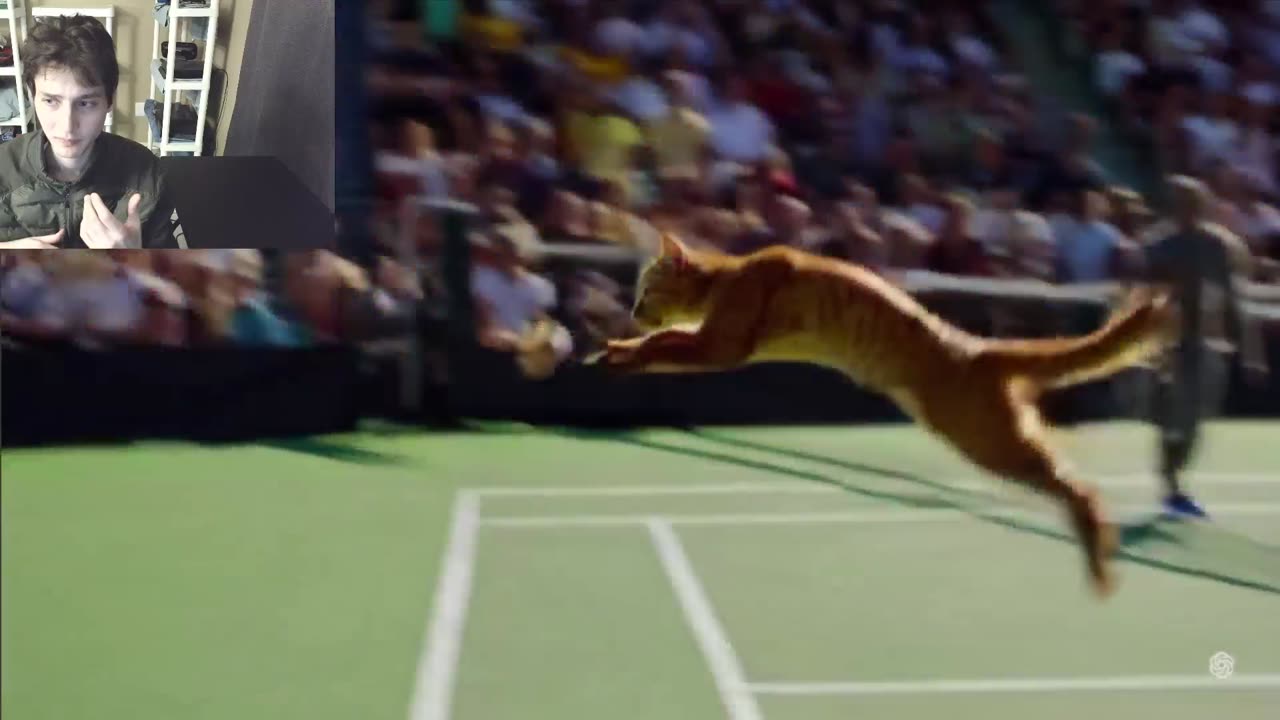 Cat Plays Tennis Fake Funny Video With Live Commentary