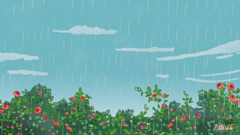 Animation Short Film