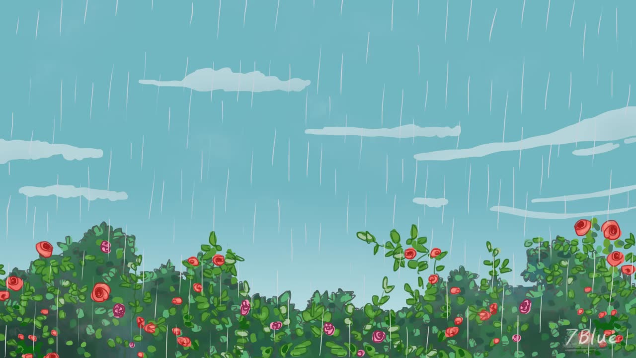 Animation Short Film
