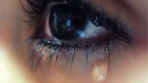 القران الكريم صوت جميل يبكي The Holy Quran, a beautiful voice that makes you cry