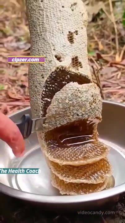 Winter Superfood Honey & Ginger Benefits