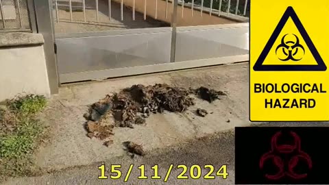 SACCHEGGIO & STRAGE con MERDA DI MAFIA PSEUDO ISTITUZIONALE