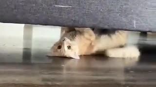 😂👀 You Think You're Invisible, but Your Butt Says Otherwise! | FunFM