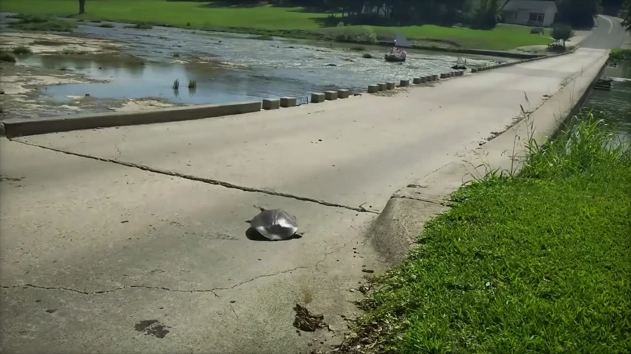 Unreal Footage You Won’t Believe Was Caught on Camera