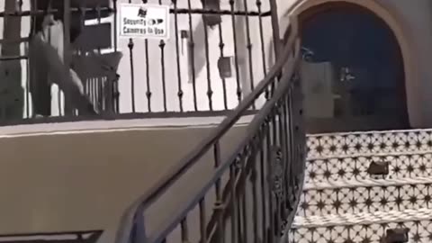 Robbers Getting Caught & Beaten