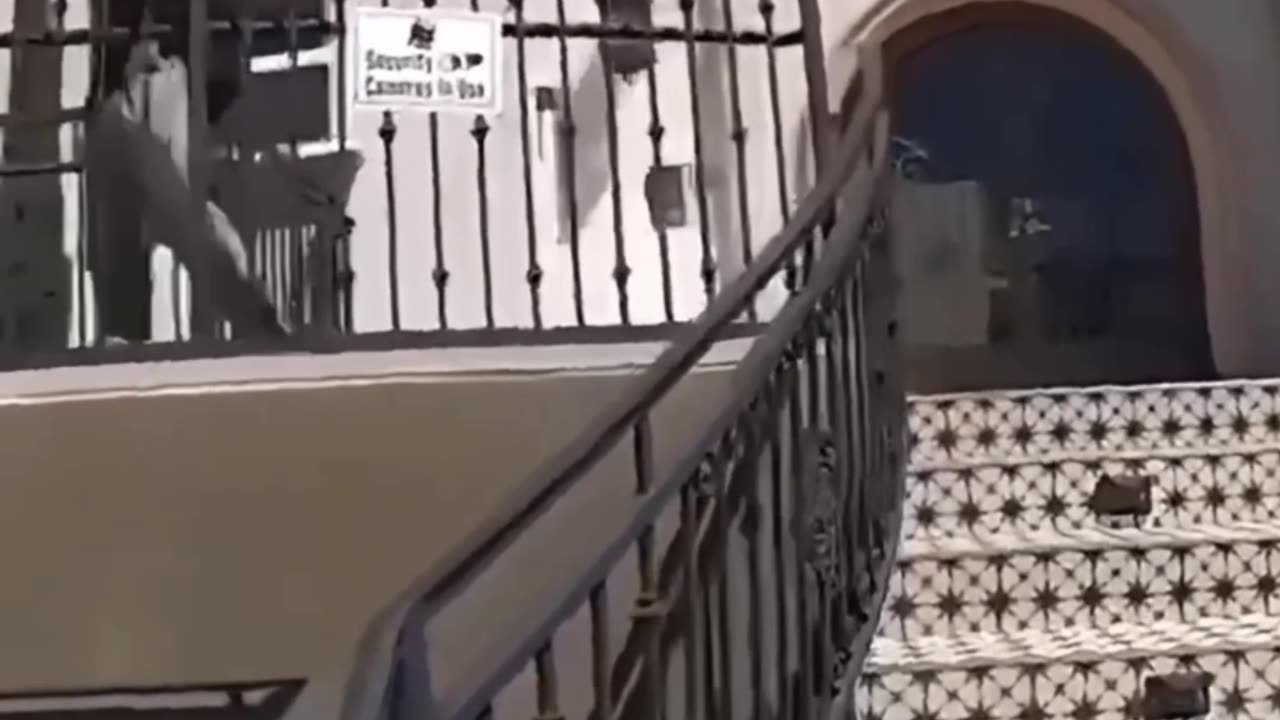 Robbers Getting Caught & Beaten