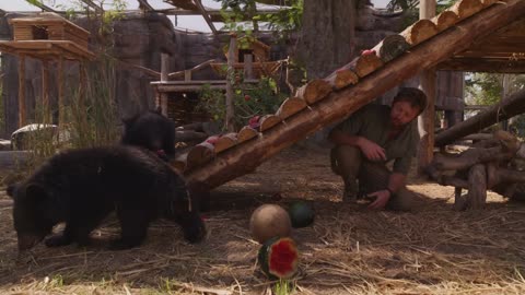 Private Tour of Billionaire's Secret Animal Sanctuary in India