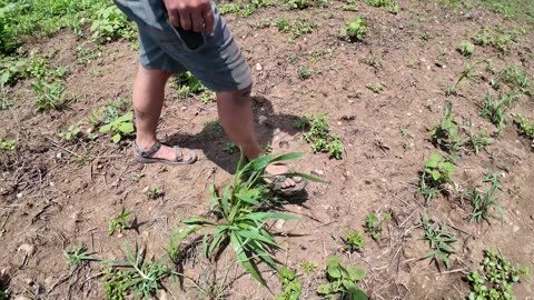 How This Small Ohio Farm Does Big Business