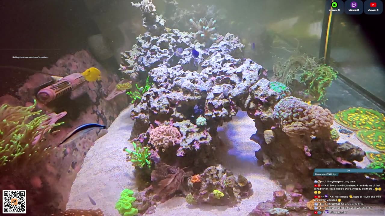 24/7 Real Live Reef Stream