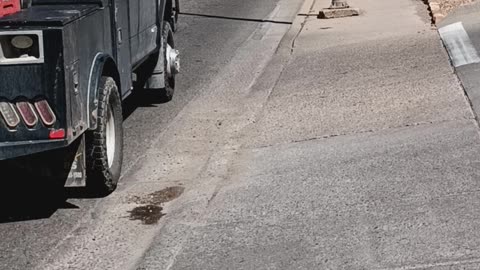 They follow from in front!