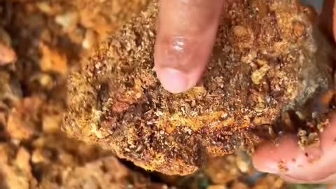 gold mining in asia