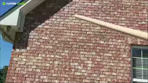 tree cutting clean up shoulder work out