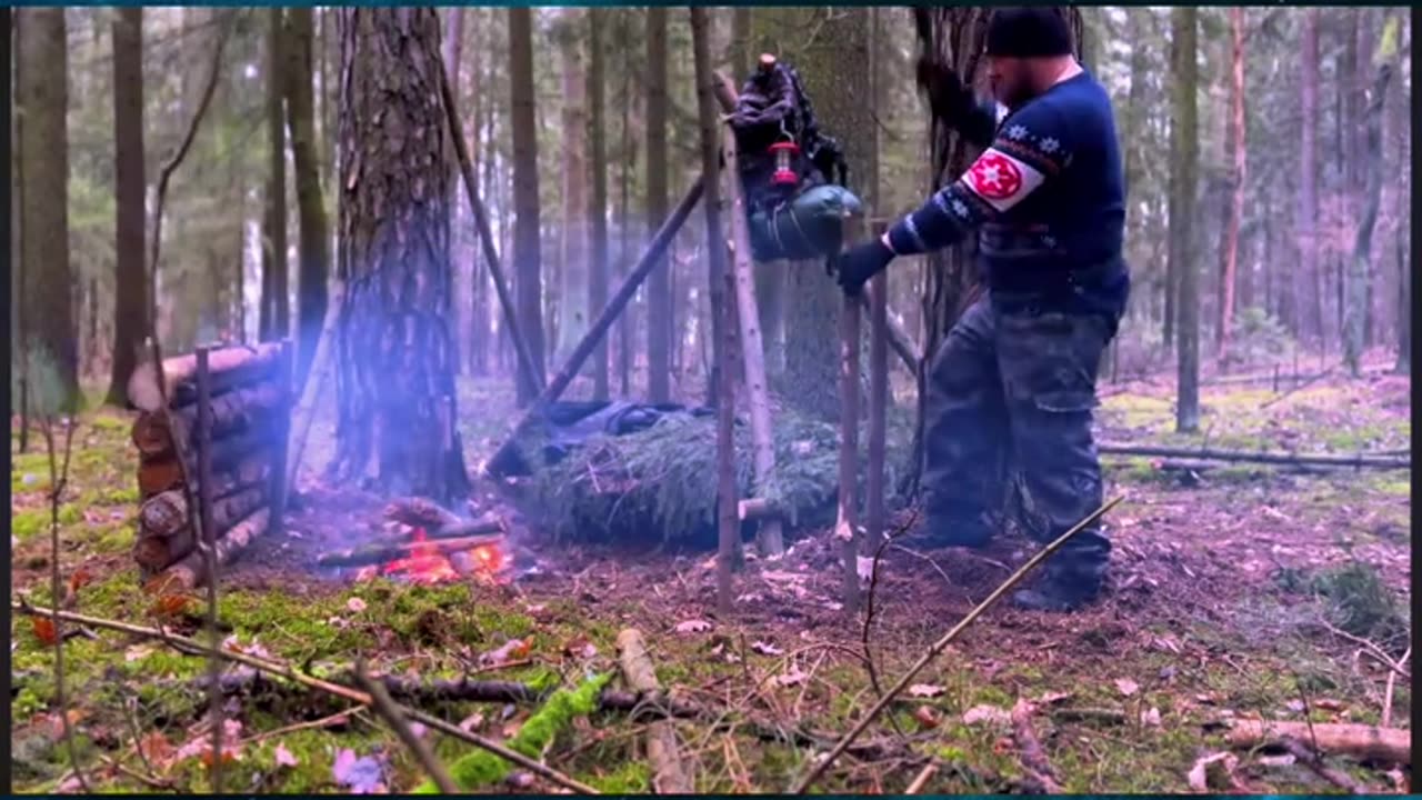 For survival in jungle you need a good shelter