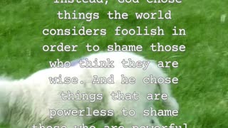 1 Corinthians 1:27
