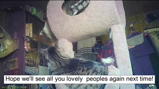 Emma's Animals 69 - One Day They Shall See!