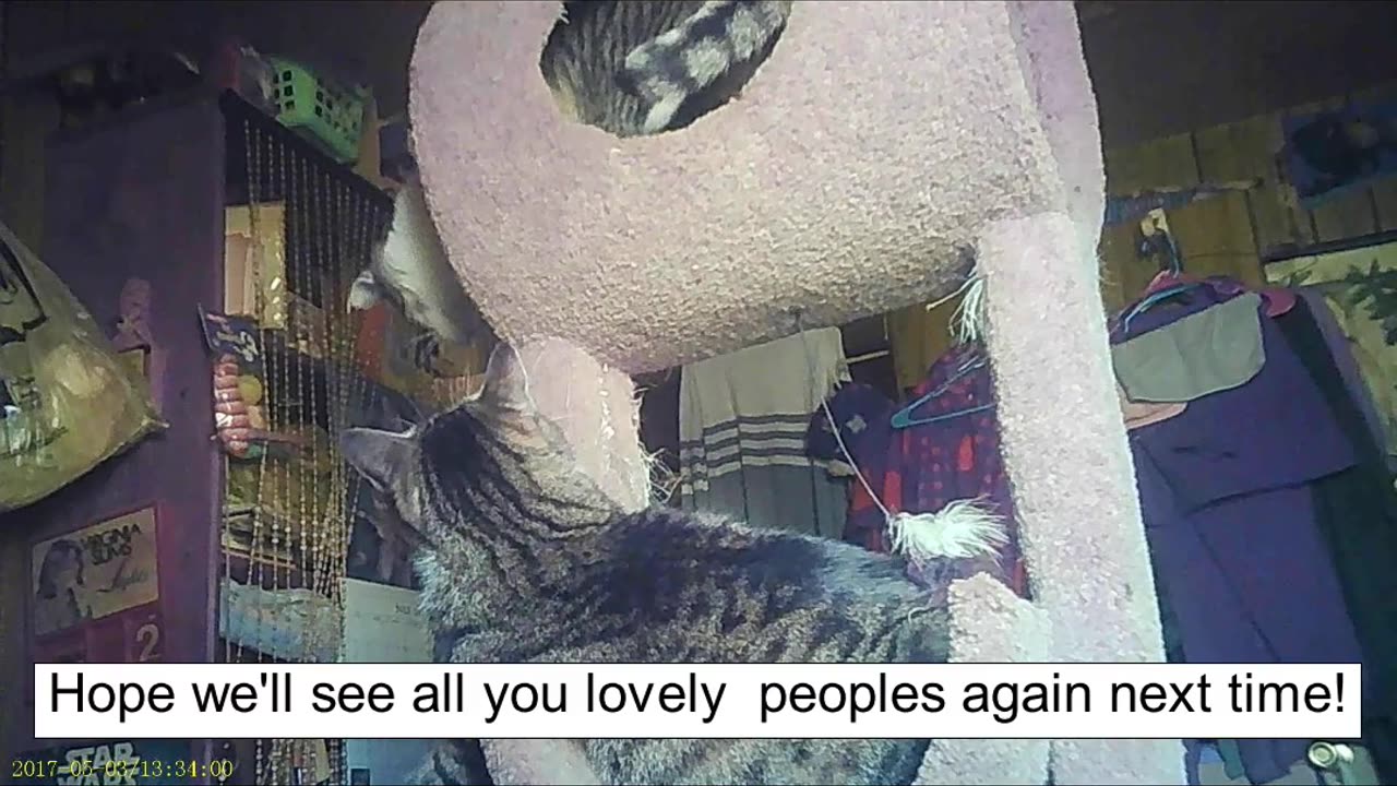 Emma's Animals 69 - One Day They Shall See!