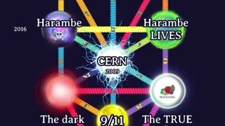 888 Portal Time Lines shifts
