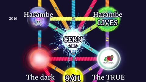 888 Portal Time Lines shifts