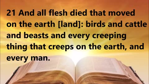 The flood described