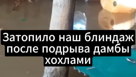 🌊🏕 Ukraine Russia War | Russian Trenches Flooded Near Belgorod Dam | RCF