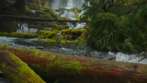 finding these waterfalls are not easy 🤍 Nature 4K videos 🌐