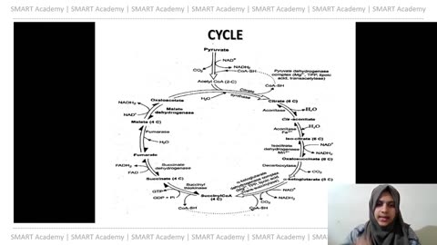Plus Two Biology Chapter 12 Part 1