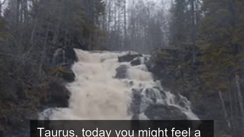 Daily Horoscope | Taurus 🌟