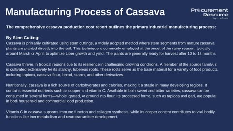 Cassava Production Cost Analysis