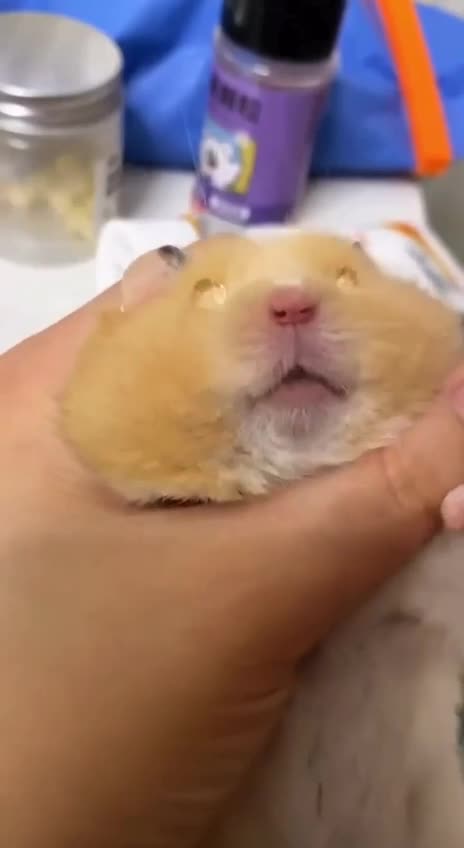 It seems we are all in need of eye drops now