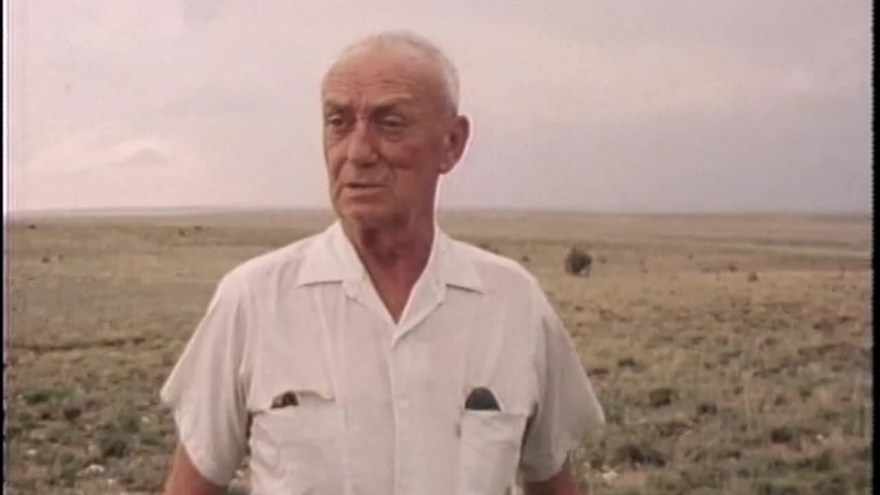 UFO Cover-Ups