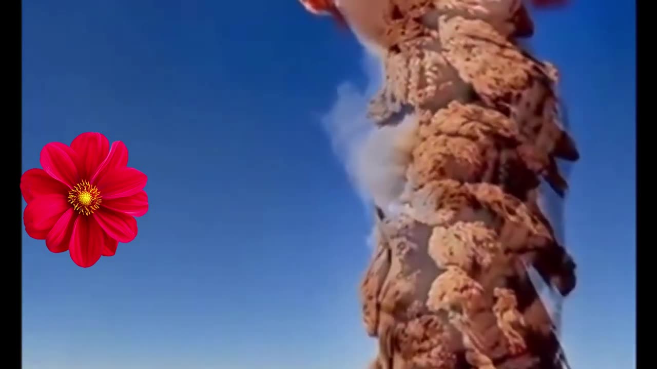 اجمل صوت تلاوة القران الكريم