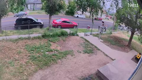 Chick Fight, Rock Throwing 07162025