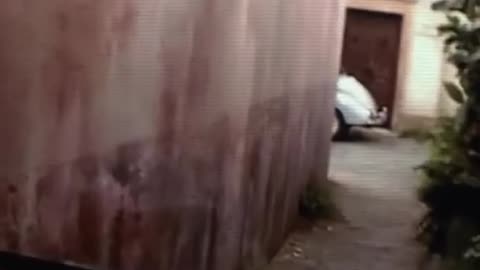 😨⚠️ The Scene That Scarred an Entire Generation | TheHauntingHour