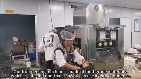 fruit peeling machine
