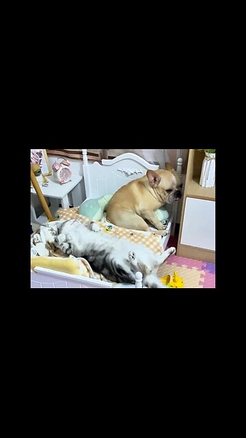 No, well I really feel sorry for him..)