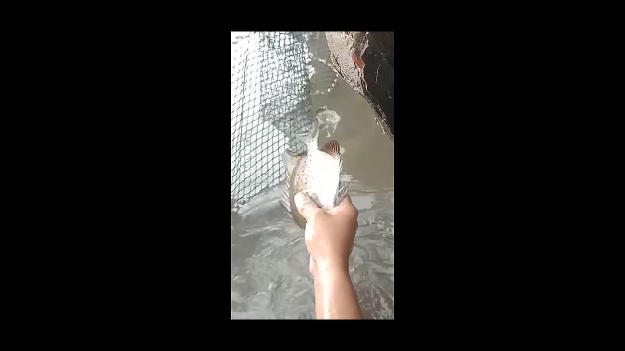 As long as you work hard, you'll always have something to eat. ☺️🤤