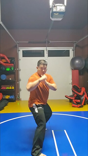 WTD Hand Combination 16, Conditioning Set (Rank 3)