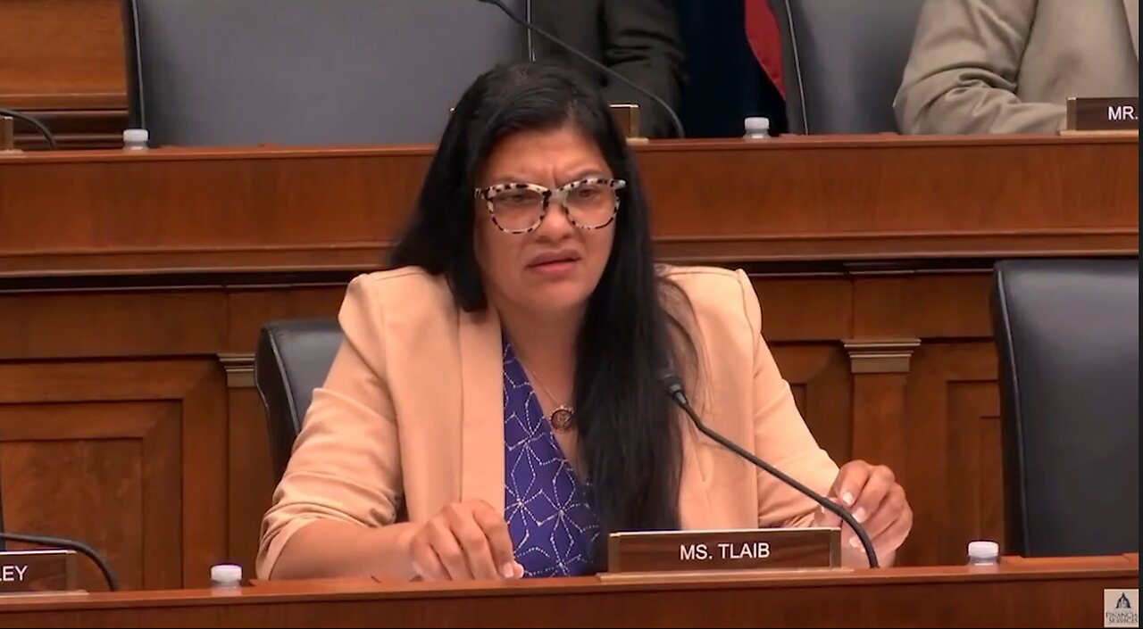 Rashida Tlaib Needs Educated During Hearing