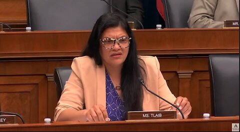 Rashida Tlaib Needs Educated During Hearing