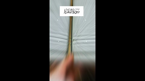 Follow if you love Allah / Surah Al Baqarah Ayat 54 #islam #quran #islamicreminders #viralvideos