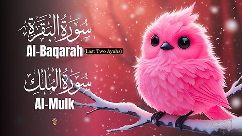 Surah Al-Baqarah Last 2 Ayat & Surah Al-Mulk Recitation – Quran for Protection & Blessings