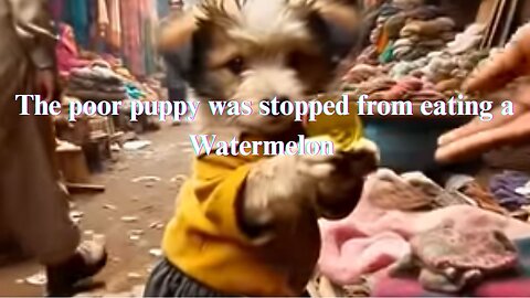 “🍉🐶 Puppy vs. Watermelon: Why This Adorable Pup Wasn’t Allowed to Eat!”