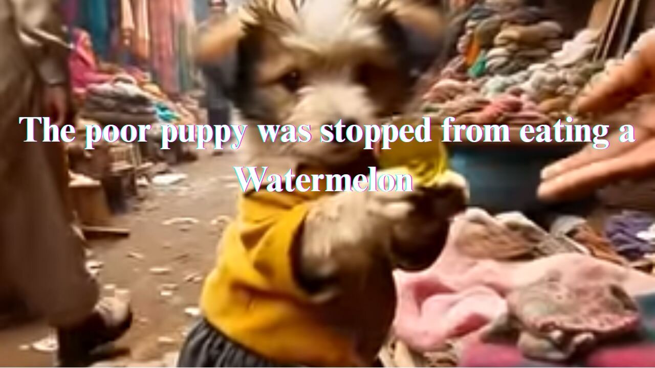 “🍉🐶 Puppy vs. Watermelon: Why This Adorable Pup Wasn’t Allowed to Eat!”