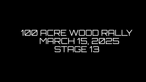 Rally in the 100 Acre Wood - March 15, 2025 - Stage 13