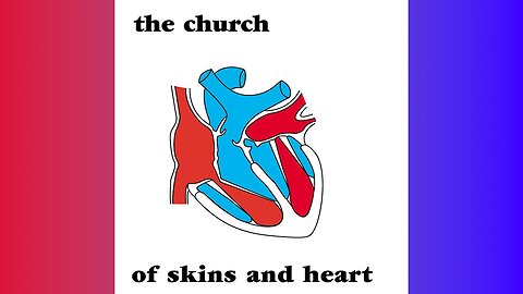 The Church - Bel-Air (Official Music Video